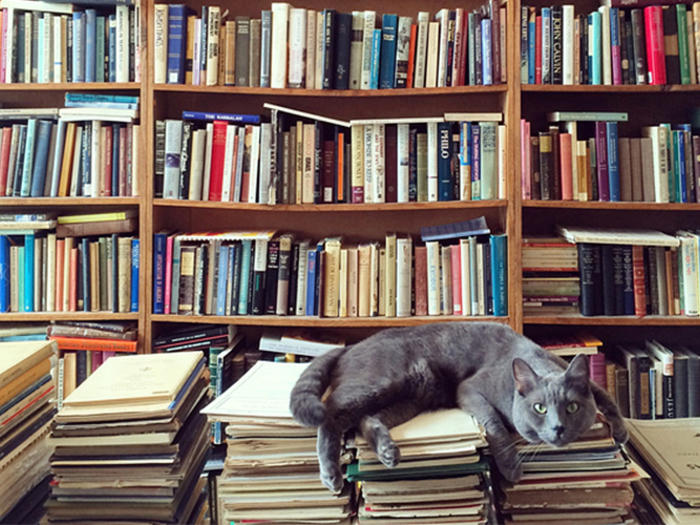 2020_01_Books_CAT