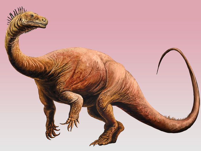Dinosaur