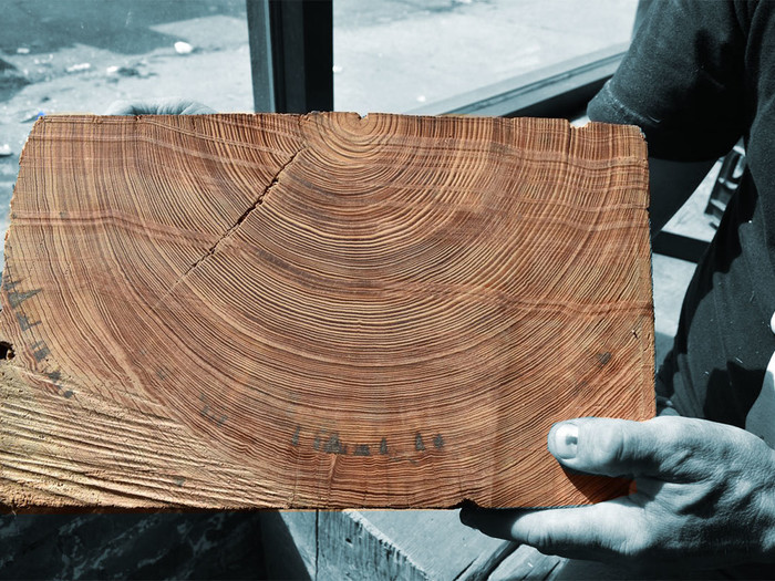 EXPL_Lumber