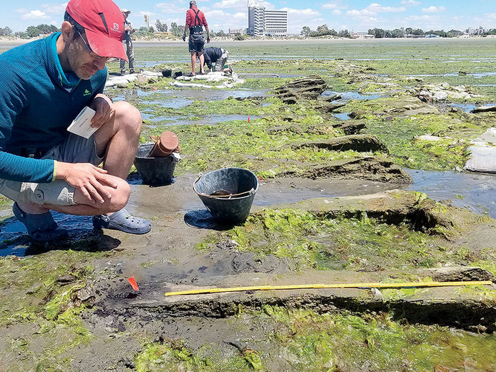 Scientists Scientists inspect the remnants of a wooden ship near Puerto Madryn, in Patagonia