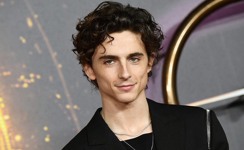 Timothée Chalamet 