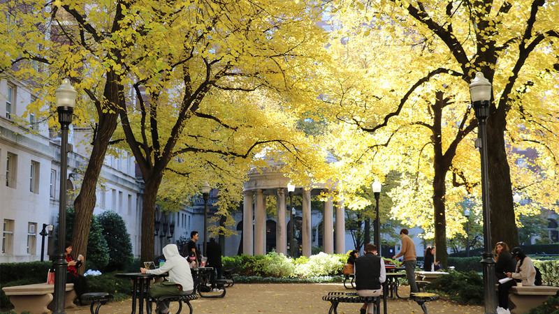 Autumn leaves on the Columbia campus