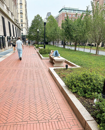 Columbia College Walk